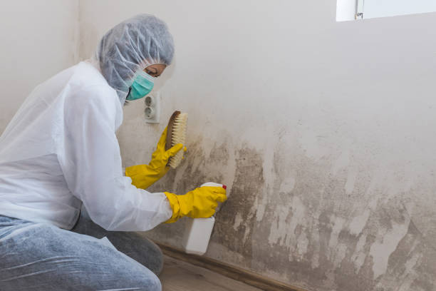 Trusted Drumright, OK Mold Removal Experts