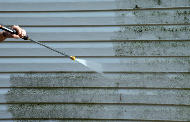Best Attic Mold Removal  in Drumright, OK