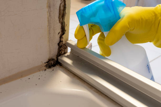Home Mold Removal in Drumright, OK