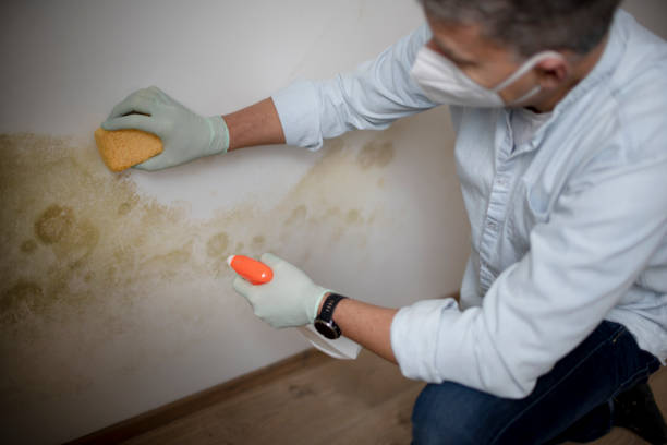 Best Mold Cleaning Services  in Drumright, OK