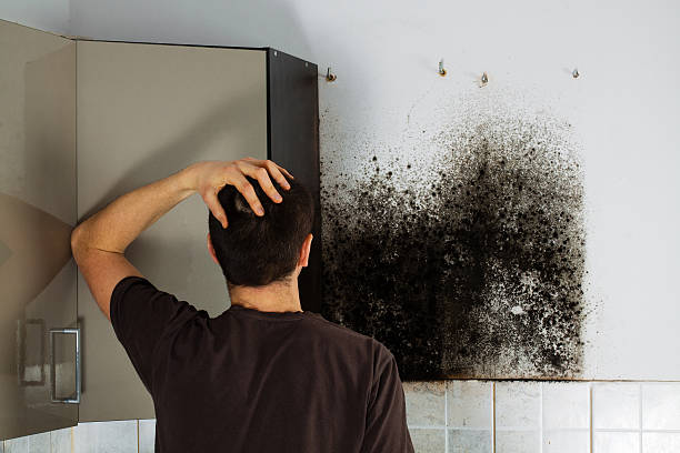 Certified Mold Removal in Drumright, OK