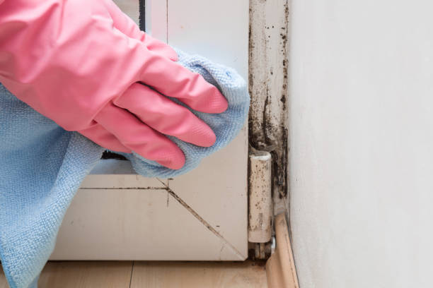 Best Mold Testing  in Drumright, OK